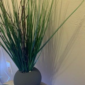 Meet your Posher, Domenica